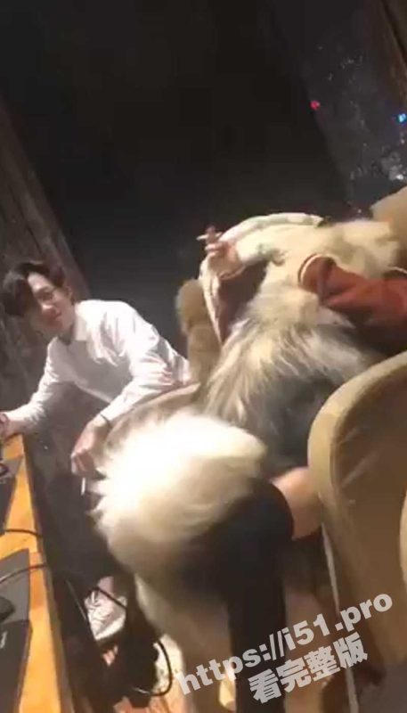这就是养大型犬的好处吗？这阿拉斯加看着真有劲啊！-51吃瓜网