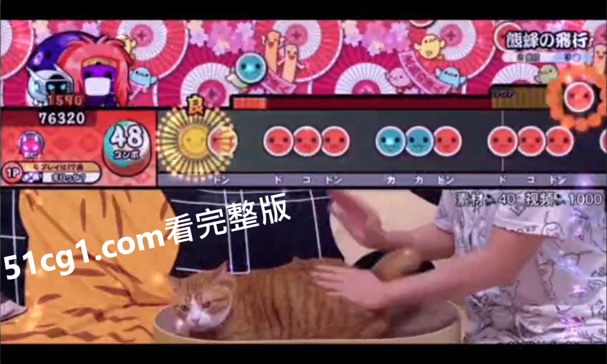 太鼓打猫 - 51吃瓜网-51吃瓜网