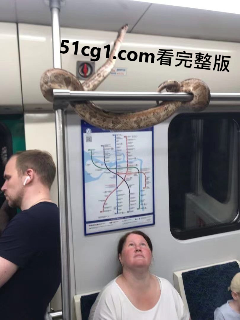 大家好镇定喔 - 51吃瓜网-51吃瓜网