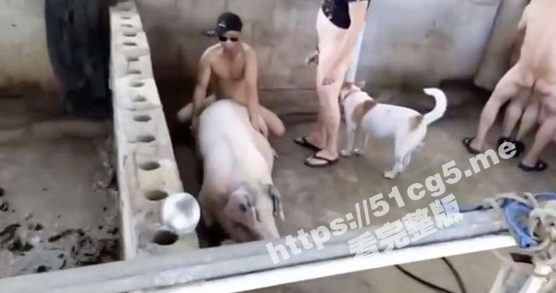 农家乐事件精华版 全世界最强的淫趴！不接受反驳-51吃瓜网