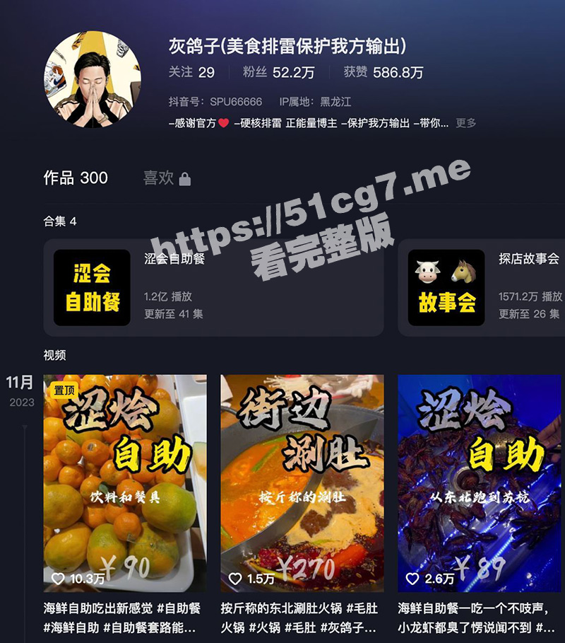 灰鸽子雪乡旅游14分钟视频 全网已下架且看且珍惜！因抹黑旅游形象已被行政拘留！ - 51吃瓜网-51吃瓜网