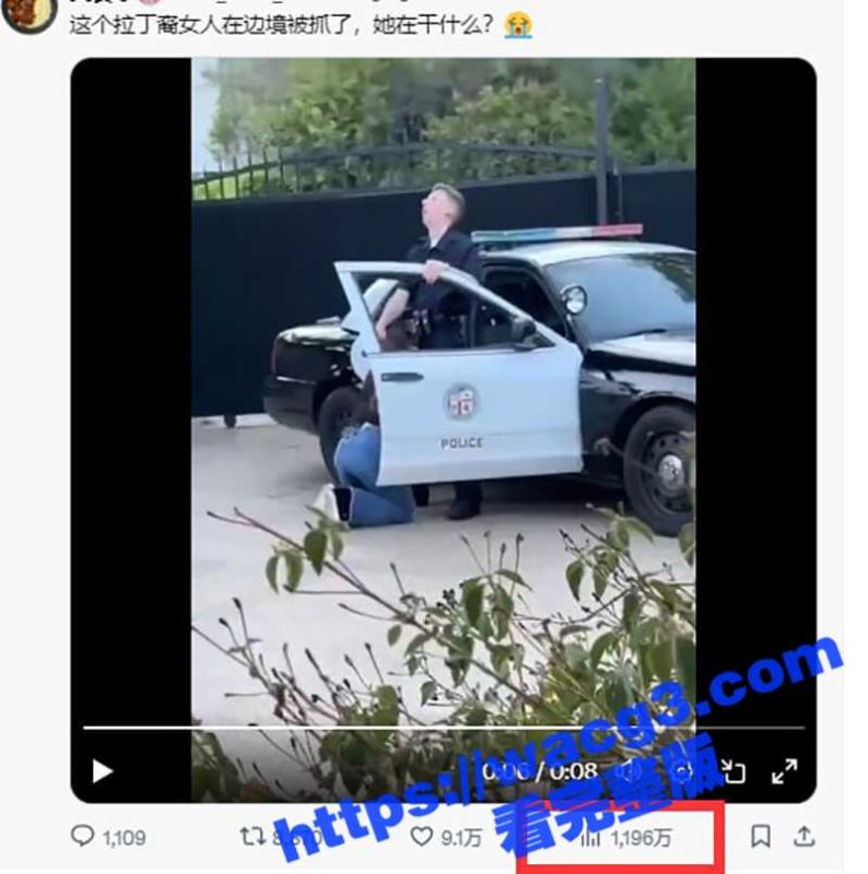 外网疯传拉丁裔美女边境被抓 跪在地上当场给美国警察口交  尽显母狗本色-51吃瓜网