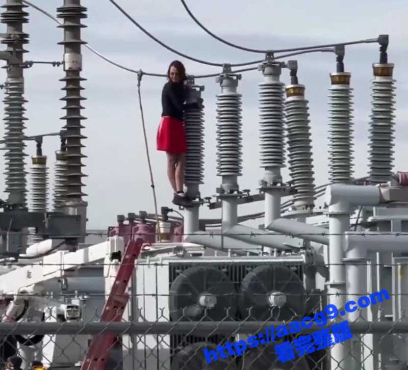美国盐城湖女子 爬上变压器电线上跳舞 致800户断电 警察发射橡皮子弹将其赶下！-51吃瓜网